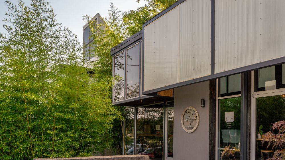 Bamboo shoots background the storefront for Namu in Durham, NC.