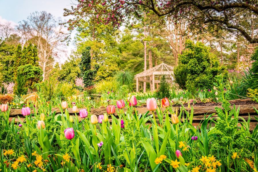 Flowers in bloom along the terraces of the Sarah P. Duke Gardens.