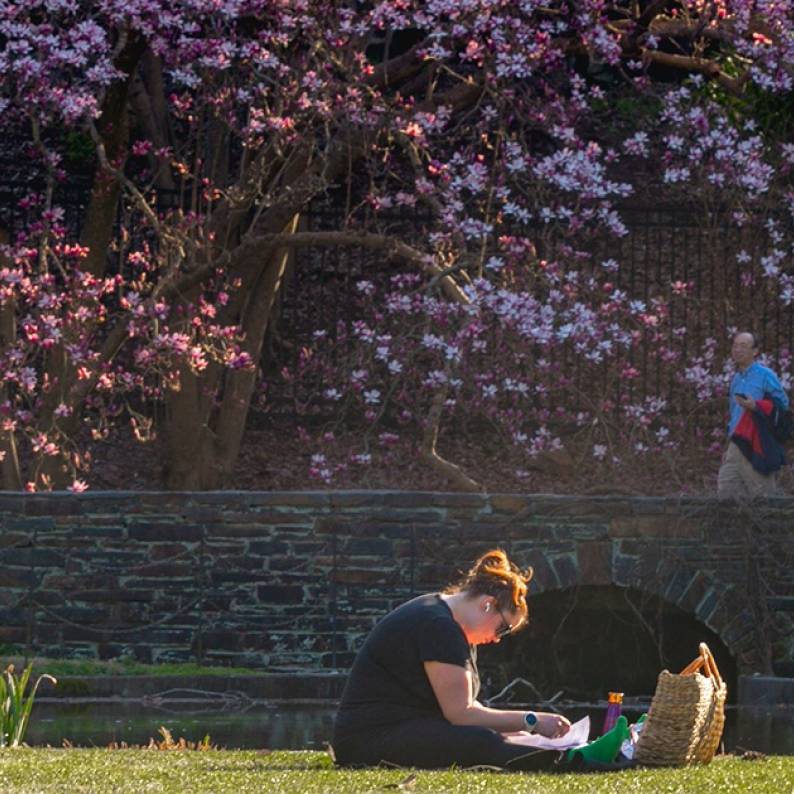 A garden visitor basks in sunlight in a field at Sarah P. Duke Gardens.