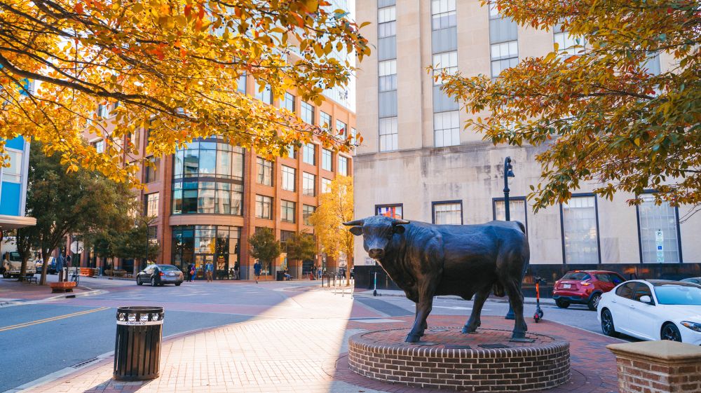 Sun filters through the fall leaves, illuminating the bull statue at the center of CCB plaza.