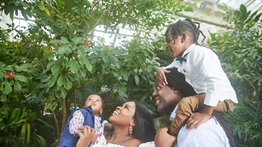 A family gazes upon a butterfly in front of lush green foliage at the Museum of Life and Science.