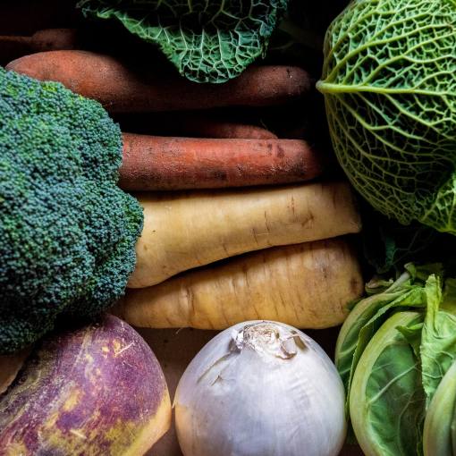 A colorful array of produce fills the frame.