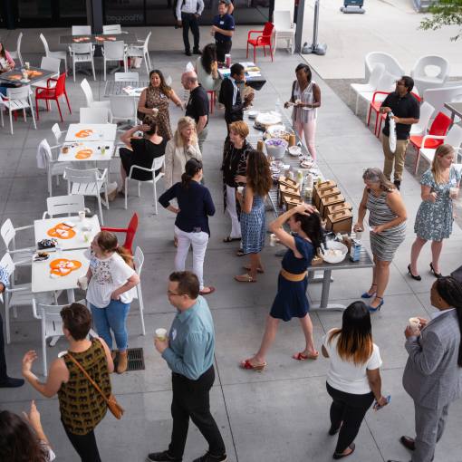Aerial shot of a group of adult professionals at an outdoor meeting.